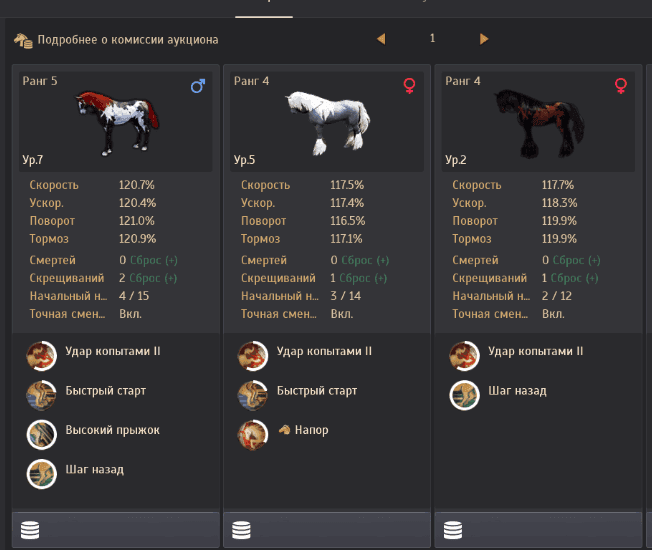 Гайд по укрощению и разведению лошадей в Black Desert Online